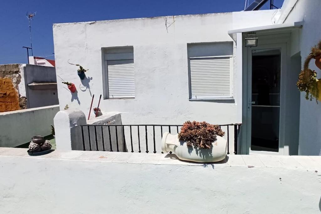 Atico Santa Maria Lägenhet Cádiz Exteriör bild